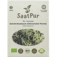 saatpur bio Semillas germinadas – Semillas Semillas para interfaz ajos – Chino porree peldaños- Micro Greens – 15 G